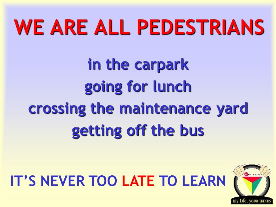 Transportation Tuesday WE ARE ALL PEDESTRIANS in the carpark going for lunch crossing the maintenance yard getting off the bus IT’S NEVER TOO LATE TO LEARN