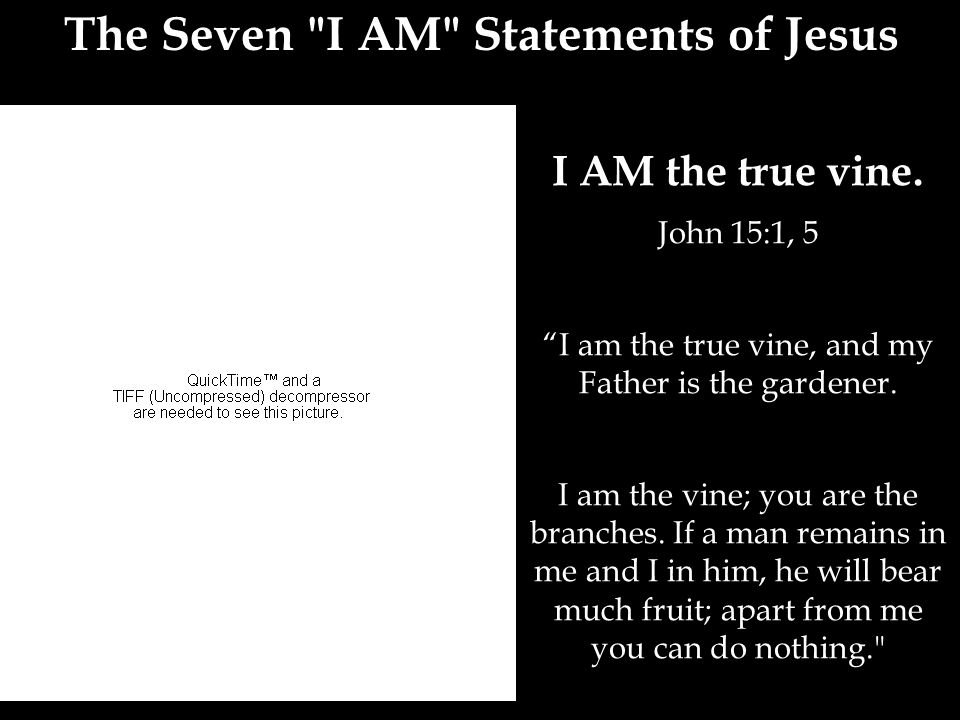 The Seven I AM Statements of Jesus I AM the true vine.