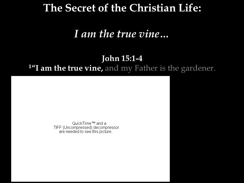 The Secret of the Christian Life: I am the true vine… John 15:1-4 1 I am the true vine, and my Father is the gardener.