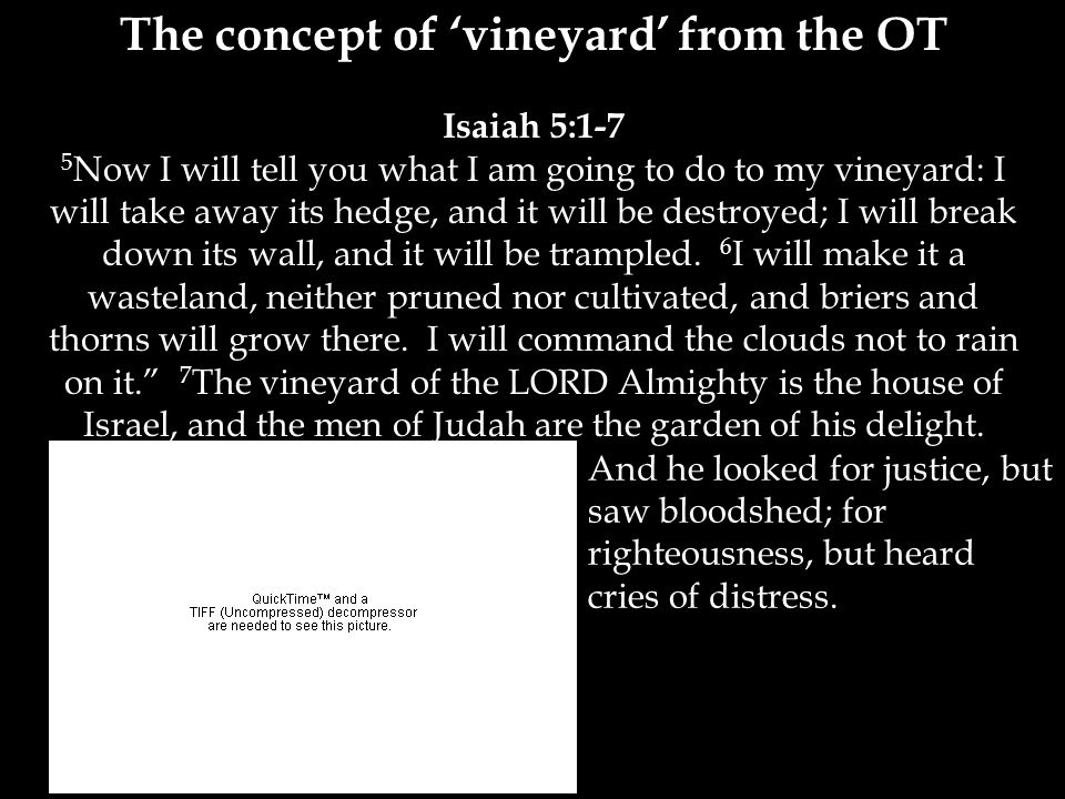 The concept of ‘vineyard’ from the OT Isaiah 5:1-7 5 Now I will tell you what I am going to do to my vineyard: I will take away its hedge, and it will be destroyed; I will break down its wall, and it will be trampled.