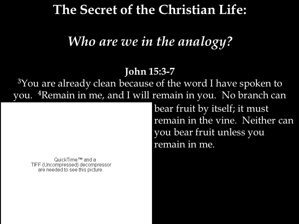 The Secret of the Christian Life: Who are we in the analogy.