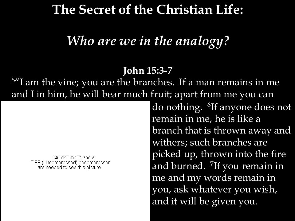 The Secret of the Christian Life: Who are we in the analogy.