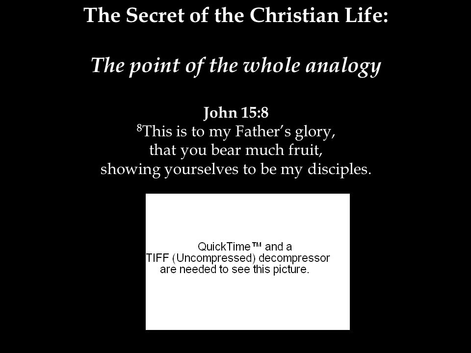 The Secret of the Christian Life: The point of the whole analogy John 15:8 8 This is to my Father’s glory, that you bear much fruit, showing yourselves to be my disciples.