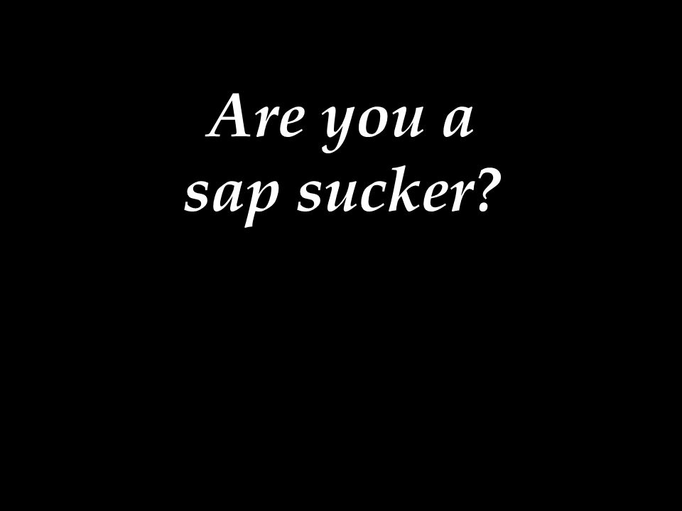 Are you a sap sucker