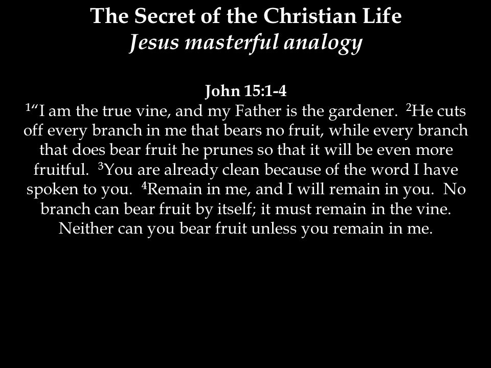 The Secret of the Christian Life Jesus masterful analogy John 15:1-4 1 I am the true vine, and my Father is the gardener.