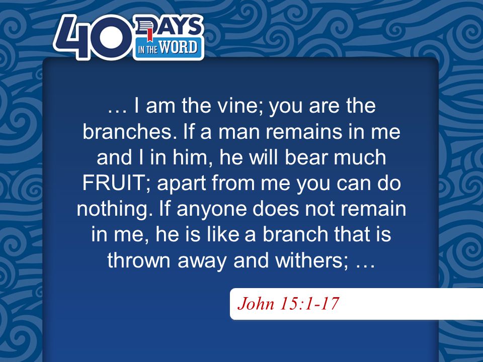 John 15:1-17 … I am the vine; you are the branches.