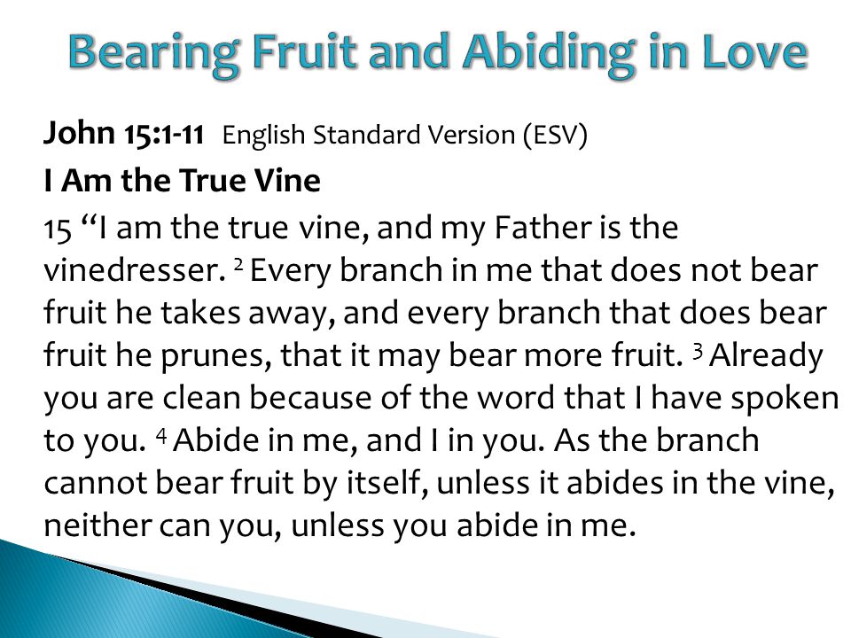 John 15:1-11 English Standard Version (ESV) I Am the True Vine 15 I am the true vine, and my Father is the vinedresser.