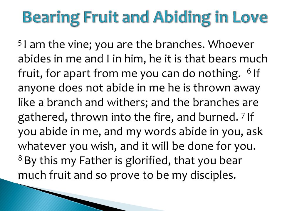 5 I am the vine; you are the branches.