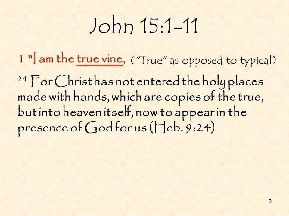 3 John 15: I am the true vine, 24 For Christ has not entered the holy places made with hands, which are copies of the true, but into heaven itself, now to appear in the presence of God for us (Heb.