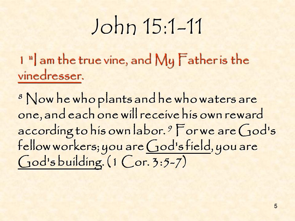 5 1 I am the true vine, and My Father is the vinedresser.