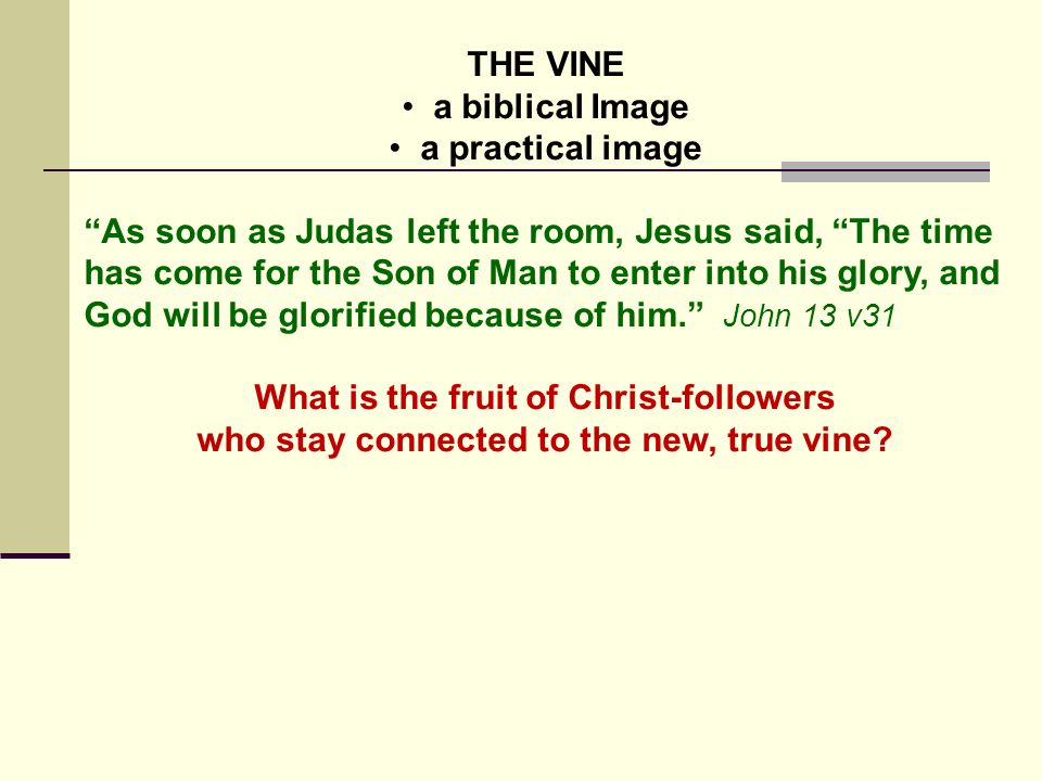 THE VINE a biblical Image a practical image As soon as Judas left the room, Jesus said, The time has come for the Son of Man to enter into his glory, and God will be glorified because of him. John 13 v31 What is the fruit of Christ-followers who stay connected to the new, true vine