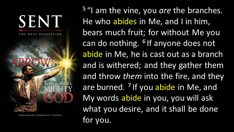 5 I am the vine, you are the branches.