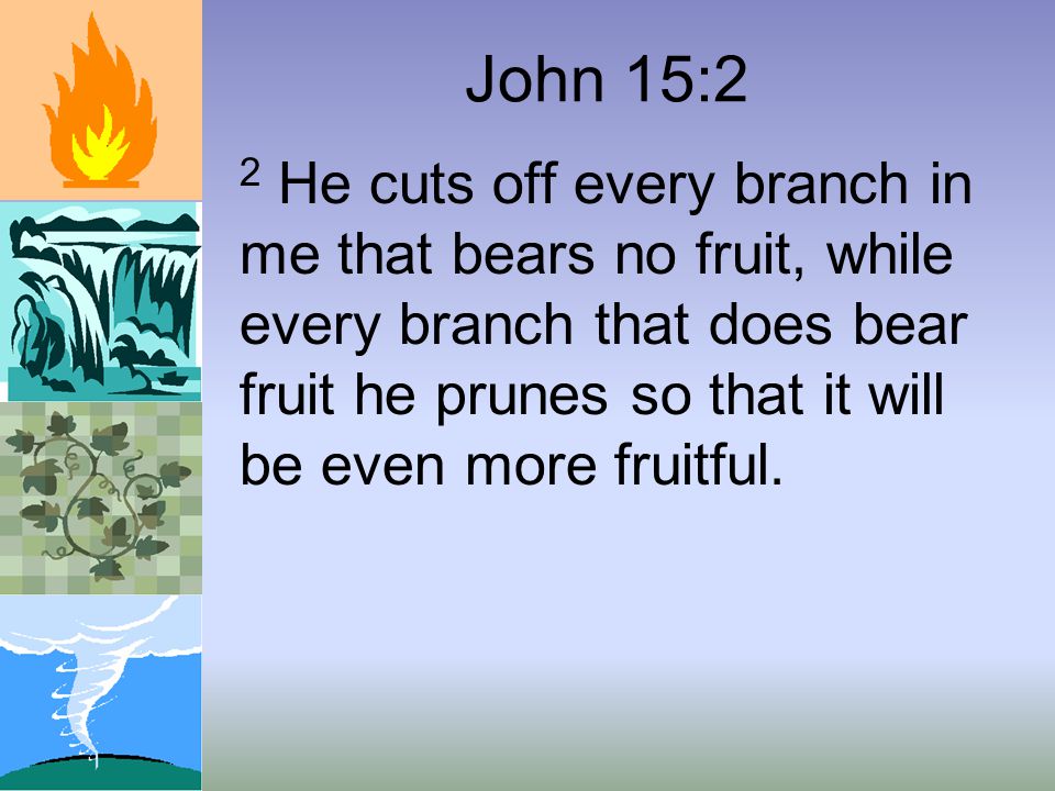 John 15:2 2 He cuts off every branch in me that bears no fruit, while every branch that does bear fruit he prunes so that it will be even more fruitful.