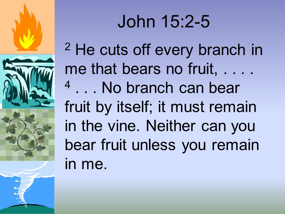 John 15:2-5 2 He cuts off every branch in me that bears no fruit,....