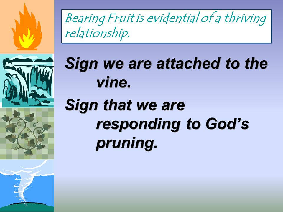 Sign we are attached to the vine. Sign that we are responding to God’s pruning.