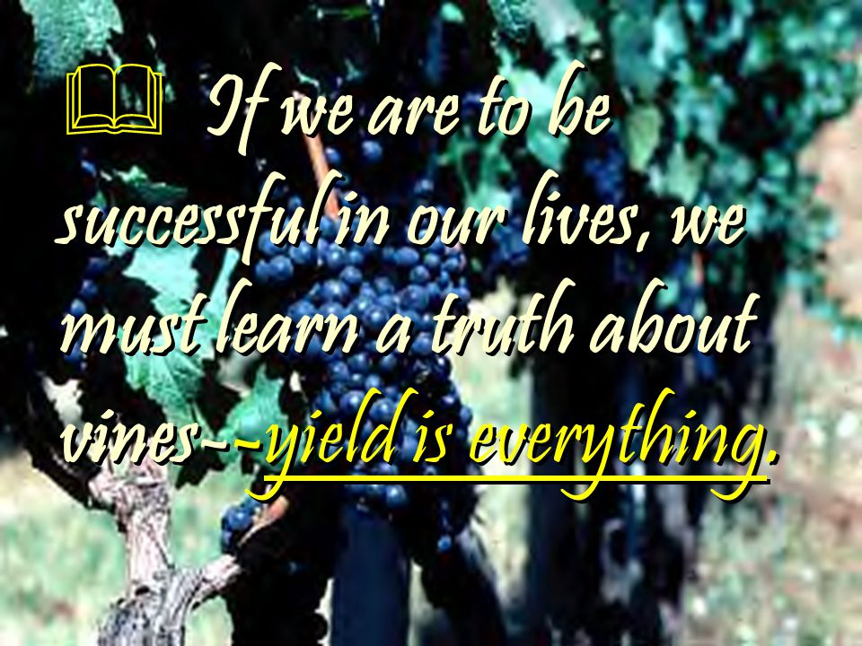  If we are to be successful in our lives, we must learn a truth about vines--yield is everything.