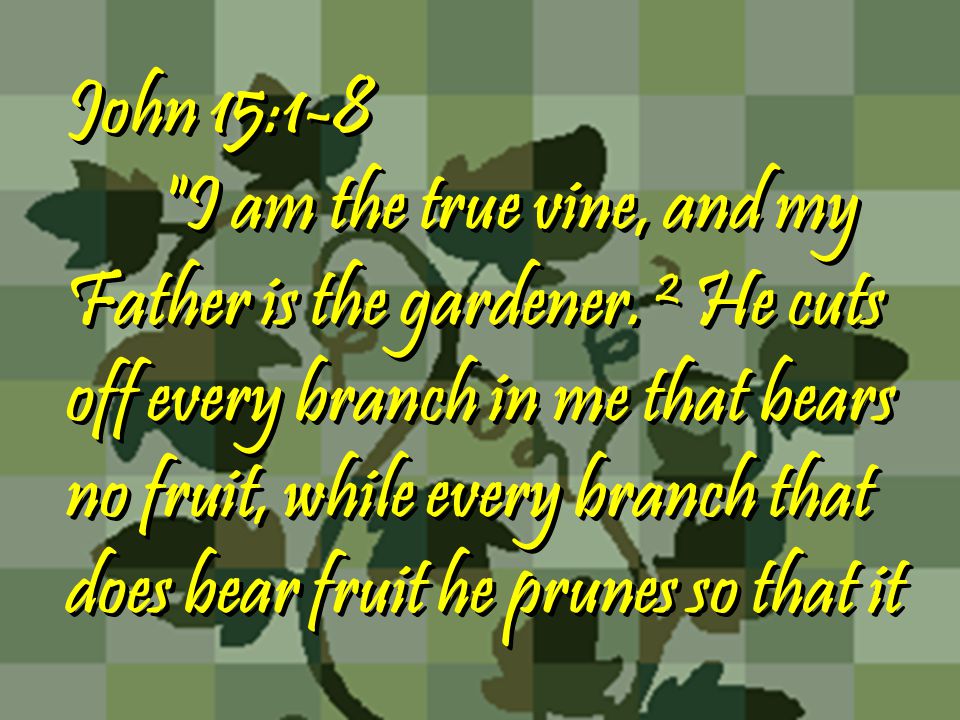 I am the true vine, and my Father is the gardener.