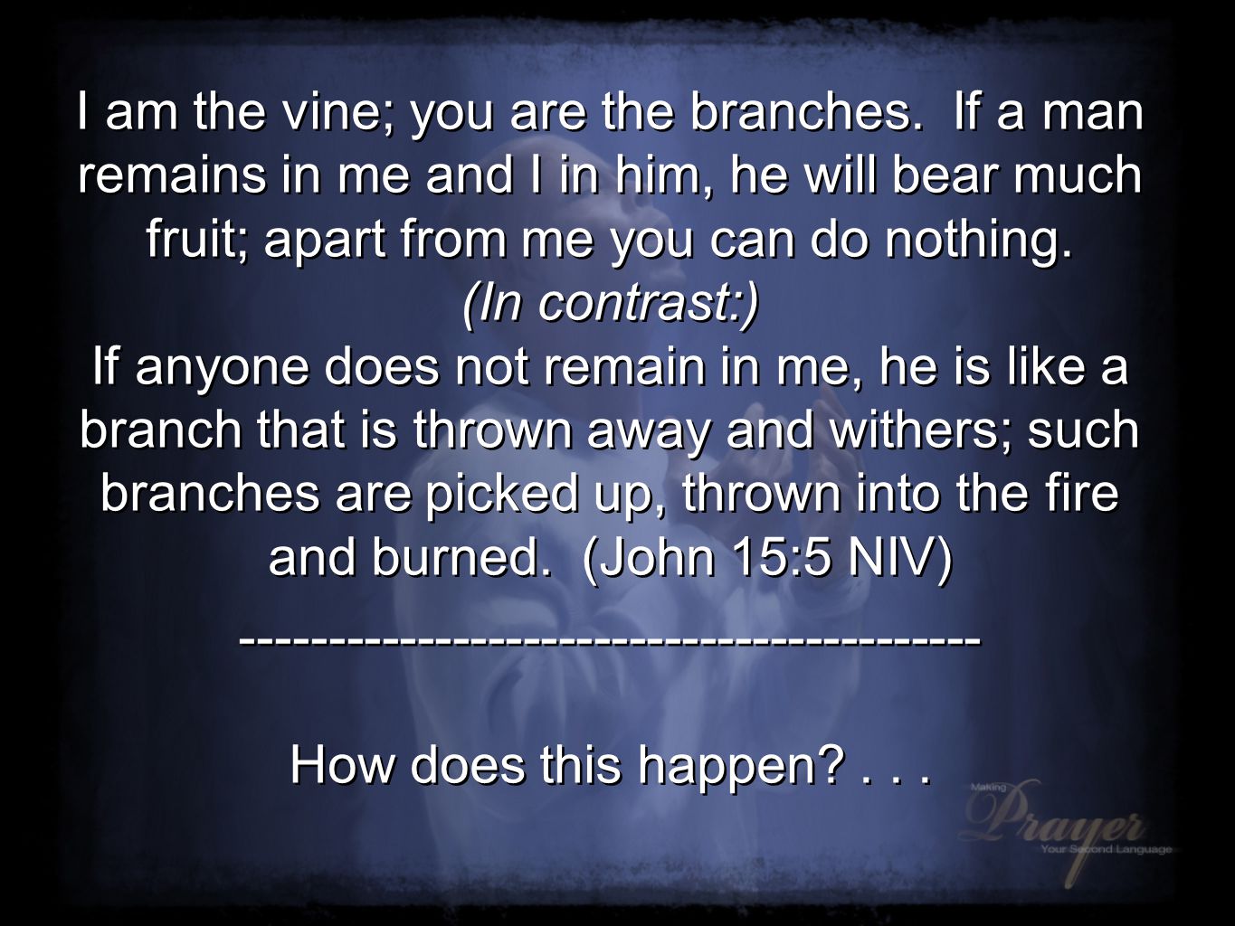 I am the vine; you are the branches.