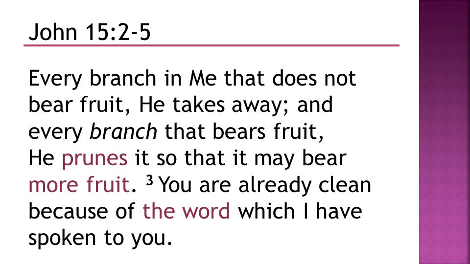 John 15:2-5 Every branch in Me that does not bear fruit, He takes away; and every branch that bears fruit, He prunes it so that it may bear more fruit.