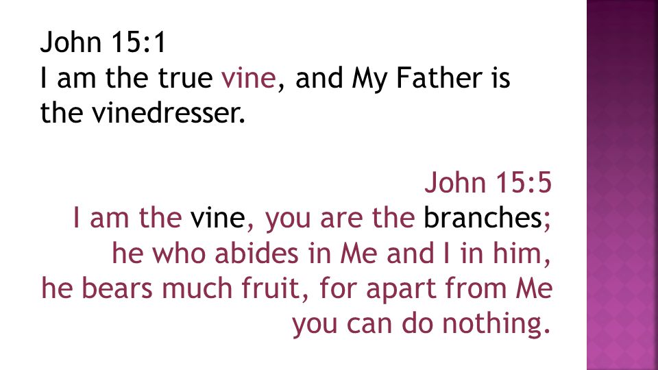 John 15:1 I am the true vine, and My Father is the vinedresser.
