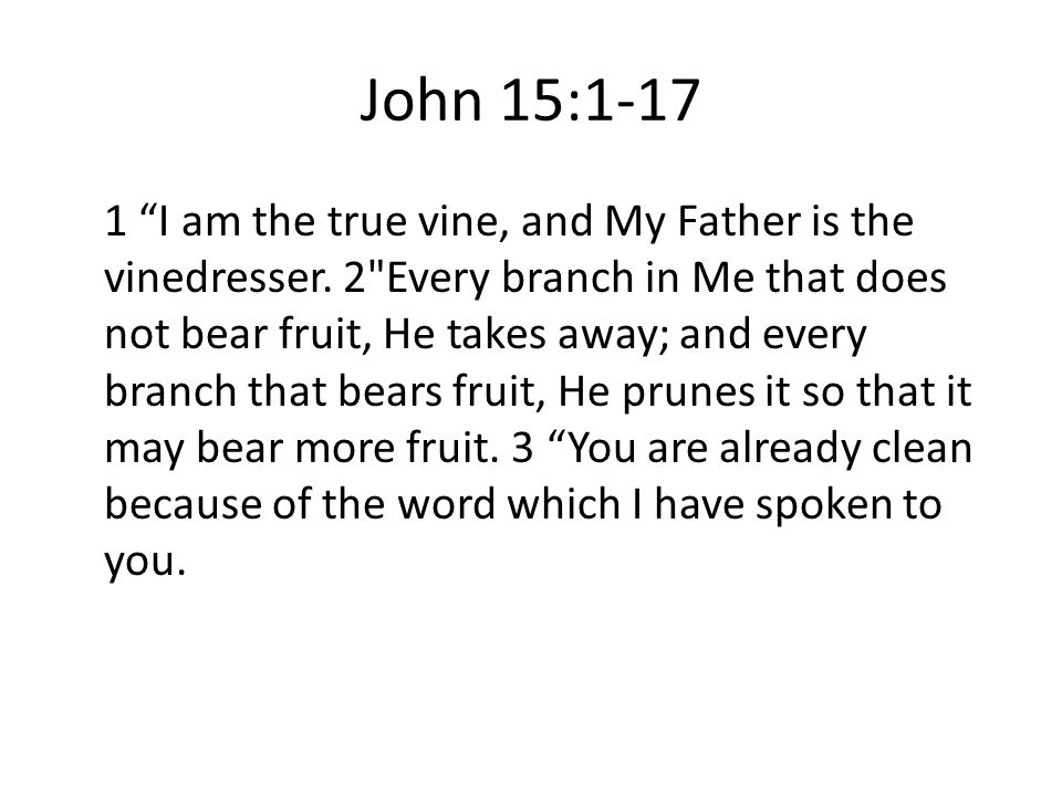 John 15: I am the true vine, and My Father is the vinedresser.