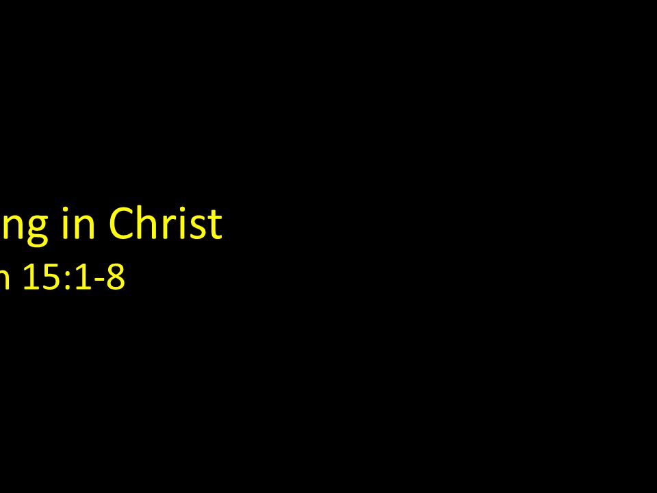 Remaining in Christ John 15:1-8