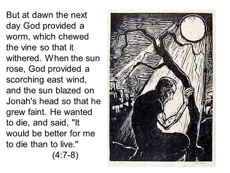 But at dawn the next day God provided a worm, which chewed the vine so that it withered.
