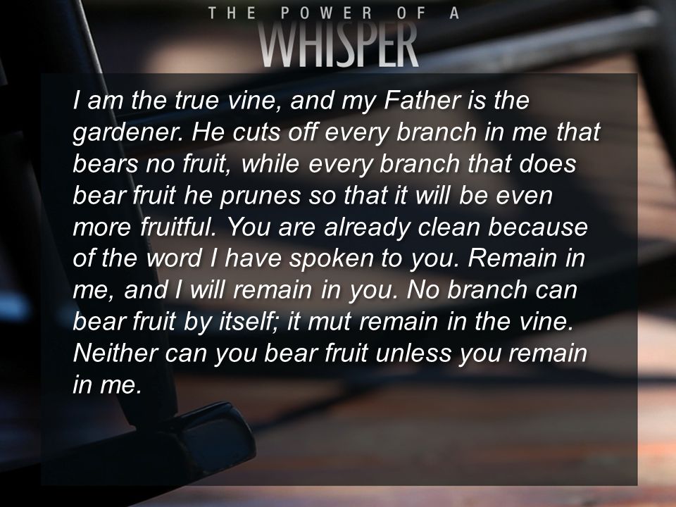I am the true vine, and my Father is the gardener.