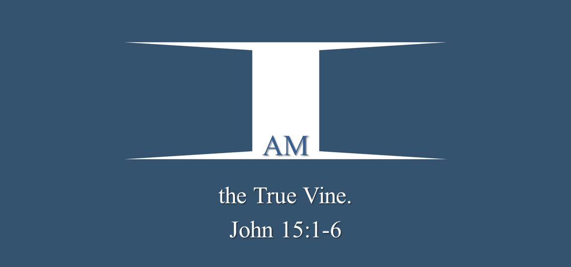 AM the True Vine. John 15:1-6