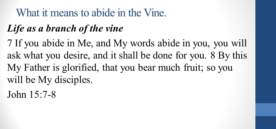 What it means to abide in the Vine.