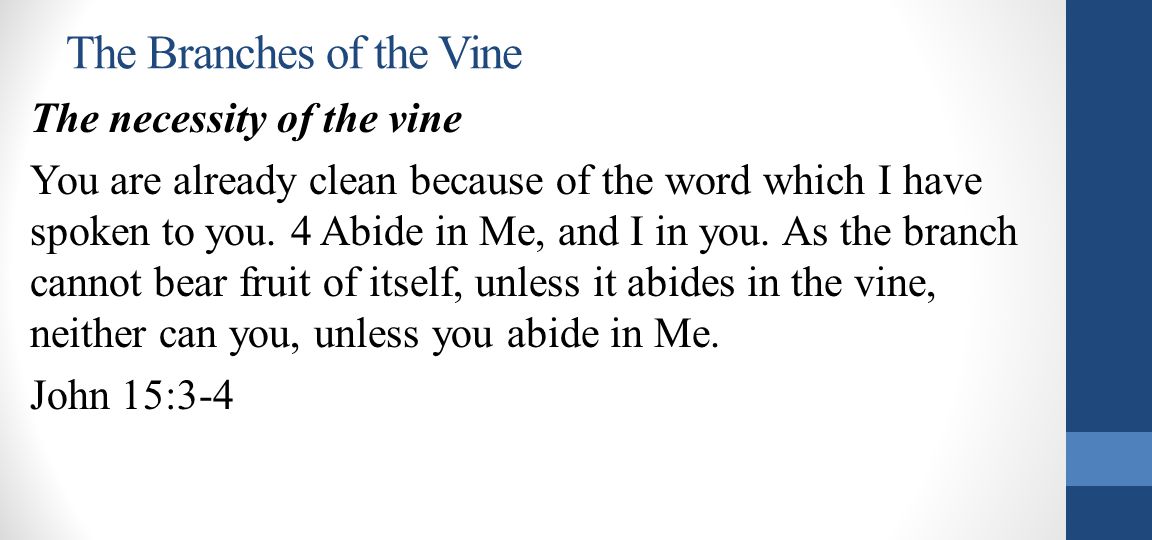 The Branches of the Vine The necessity of the vine You are already clean because of the word which I have spoken to you.