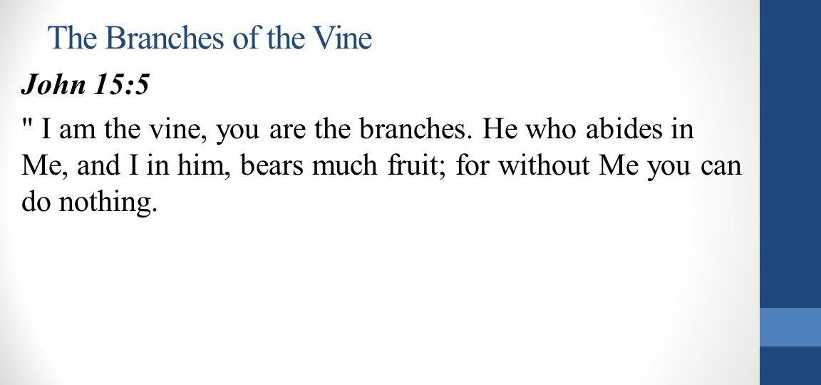 The Branches of the Vine John 15:5 I am the vine, you are the branches.