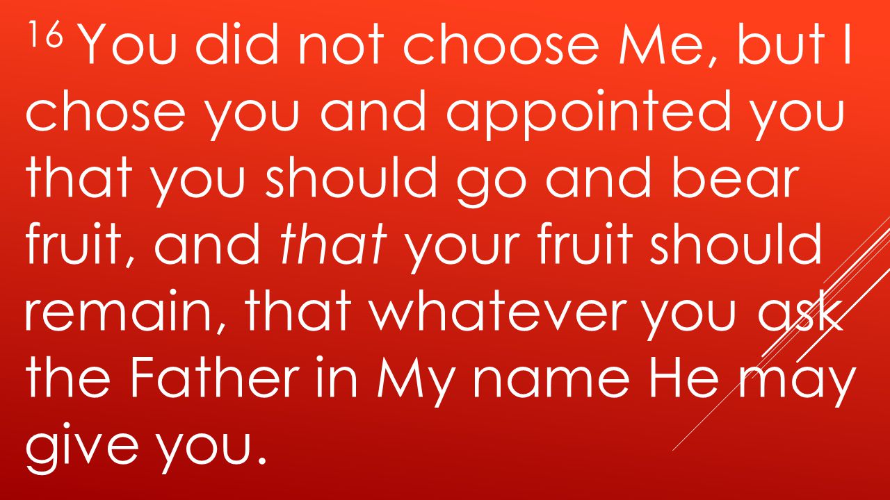 16 You did not choose Me, but I chose you and appointed you that you should go and bear fruit, and that your fruit should remain, that whatever you ask the Father in My name He may give you.