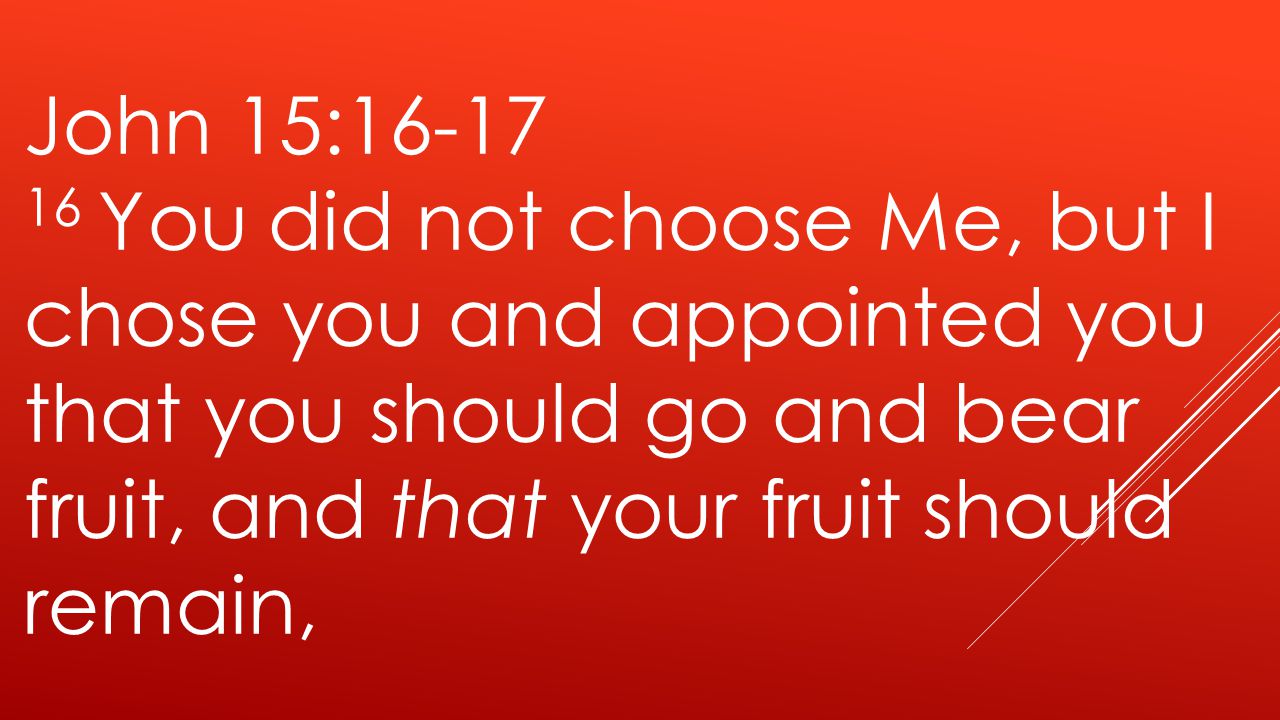 John 15: You did not choose Me, but I chose you and appointed you that you should go and bear fruit, and that your fruit should remain,