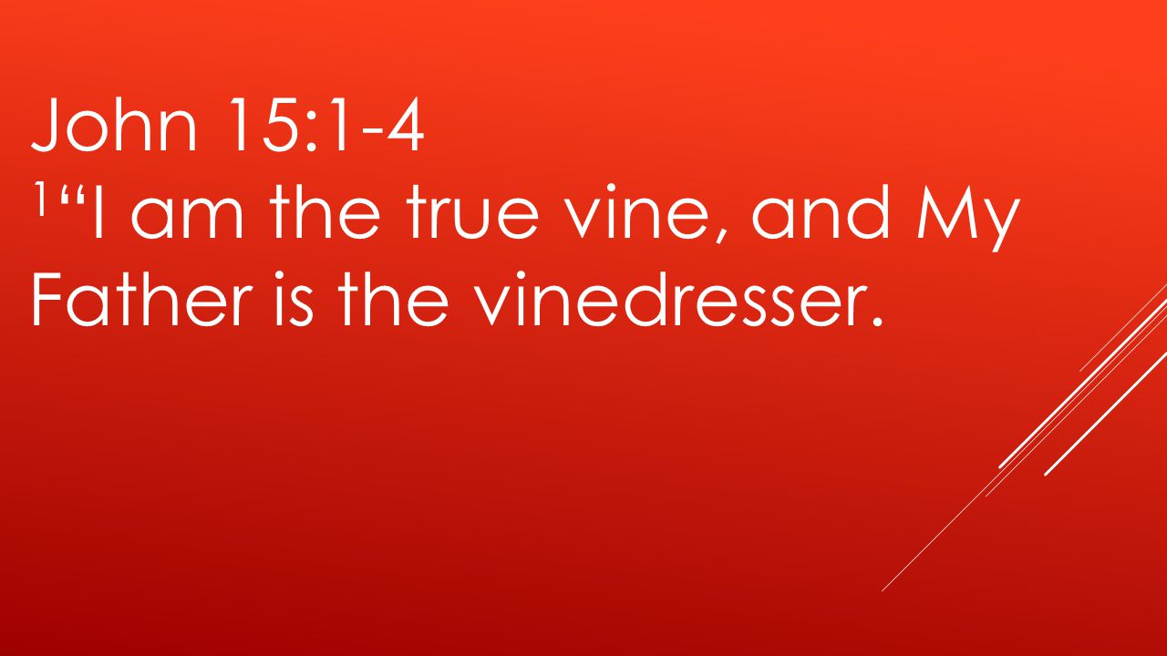 John 15:1-4 1 I am the true vine, and My Father is the vinedresser.