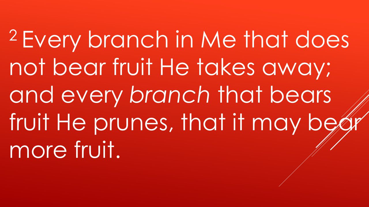 2 Every branch in Me that does not bear fruit He takes away; and every branch that bears fruit He prunes, that it may bear more fruit.