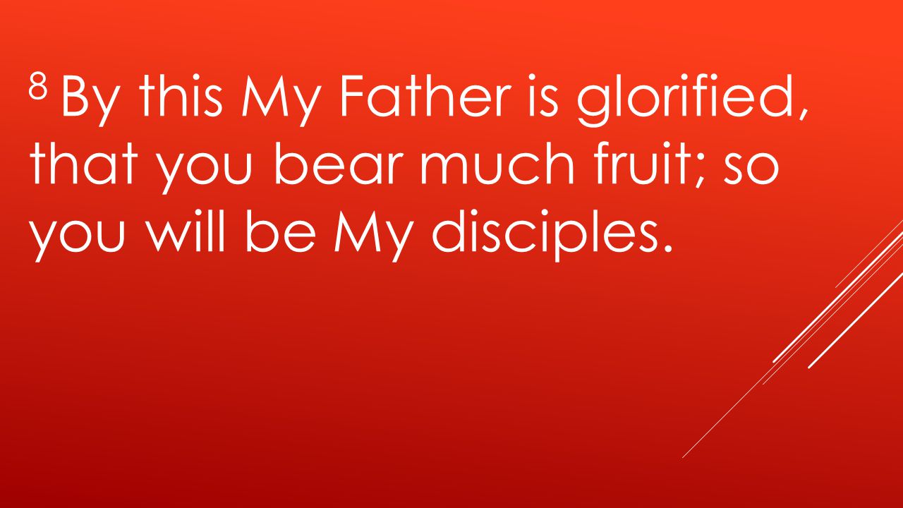 8 By this My Father is glorified, that you bear much fruit; so you will be My disciples.