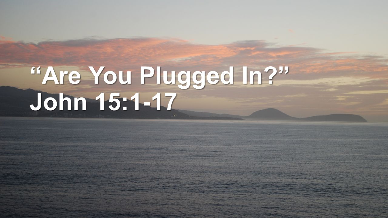 Are You Plugged In John 15:1-17