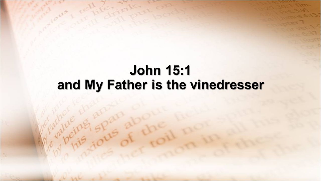 John 15:1 and My Father is the vinedresser