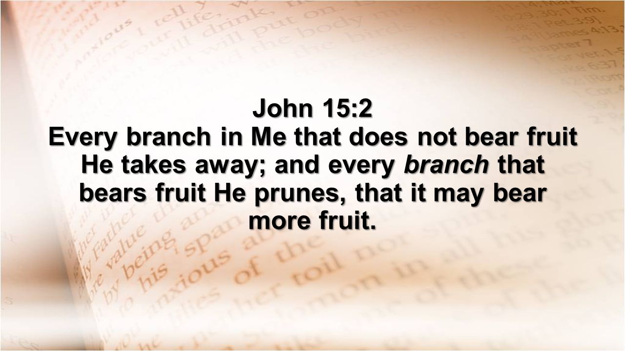 John 15:2 Every branch in Me that does not bear fruit He takes away; and every branch that bears fruit He prunes, that it may bear more fruit.