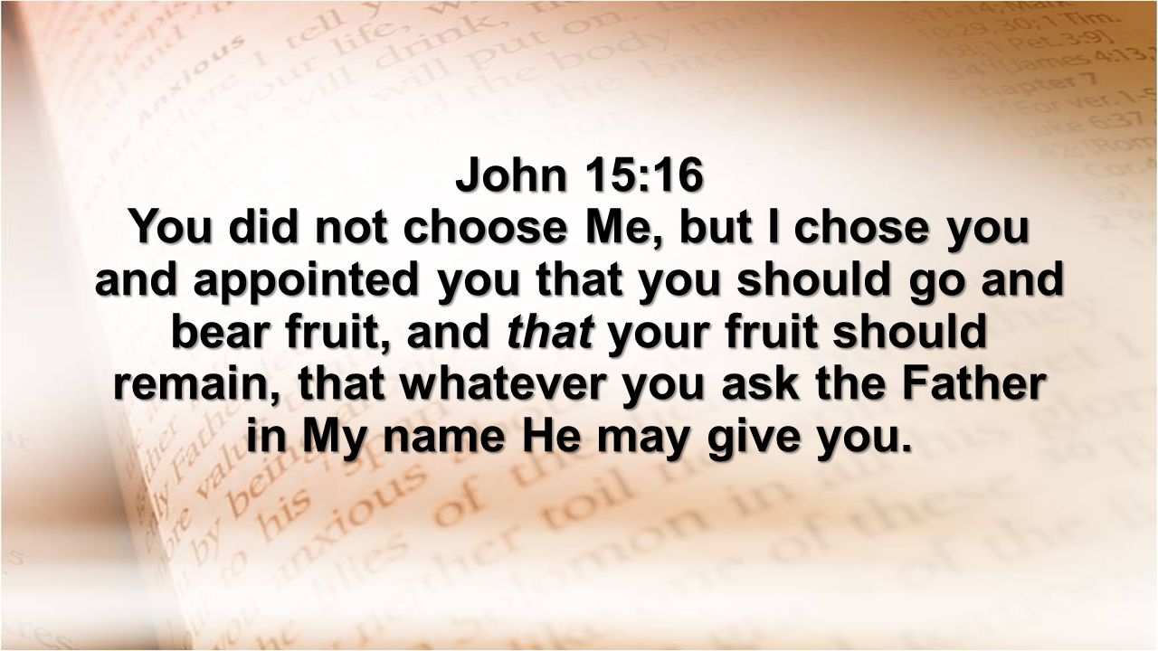 John 15:16 You did not choose Me, but I chose you and appointed you that you should go and bear fruit, and that your fruit should remain, that whatever you ask the Father in My name He may give you.