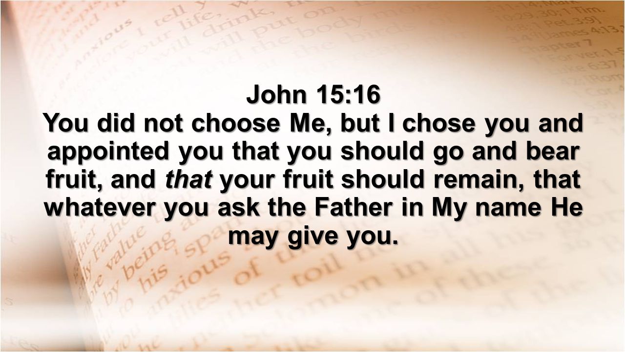 John 15:16 You did not choose Me, but I chose you and appointed you that you should go and bear fruit, and that your fruit should remain, that whatever you ask the Father in My name He may give you.