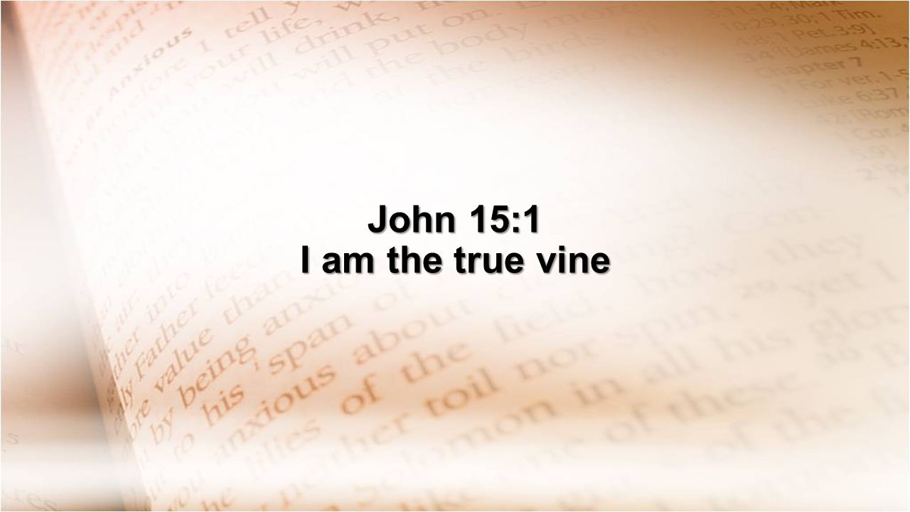John 15:1 I am the true vine