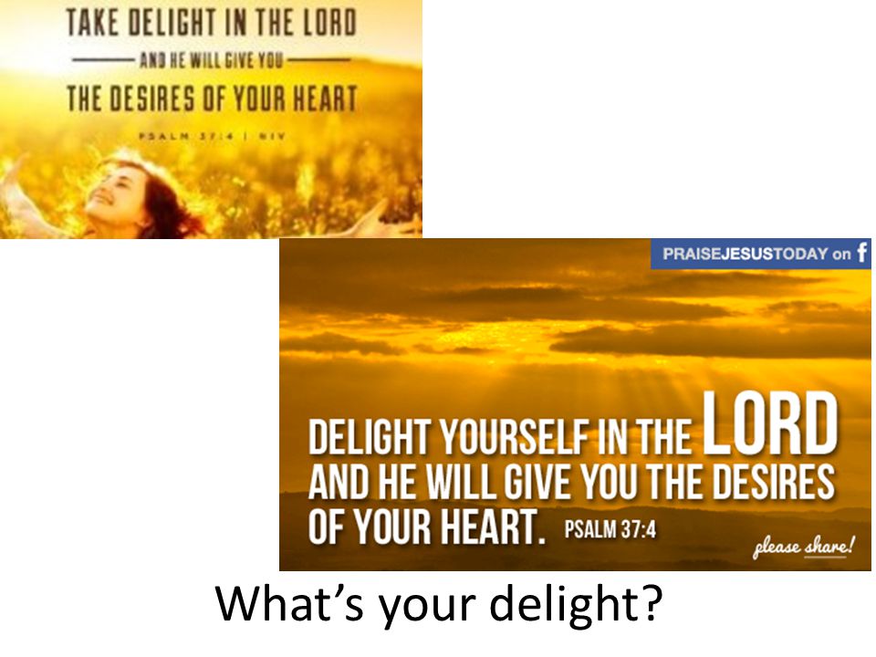 What’s your delight