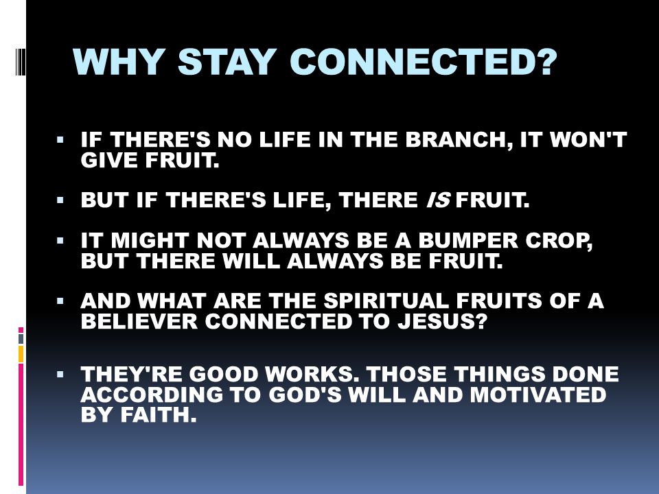 WHY STAY CONNECTED.  IF THERE S NO LIFE IN THE BRANCH, IT WON T GIVE FRUIT.