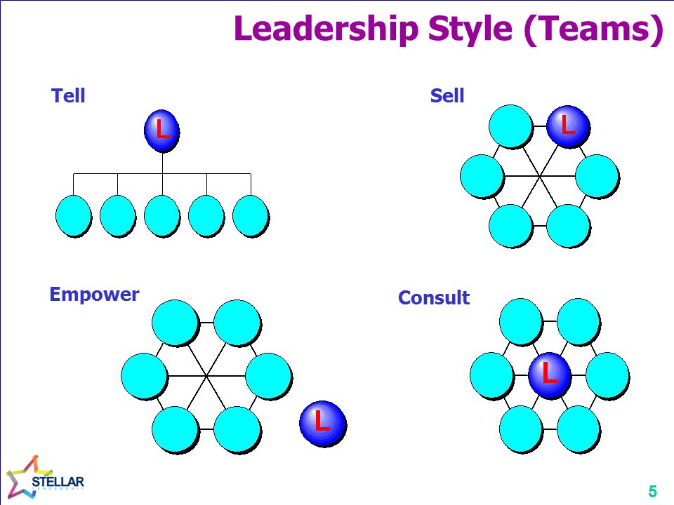 5 Consult Empower TellSell Leadership Style (Teams)