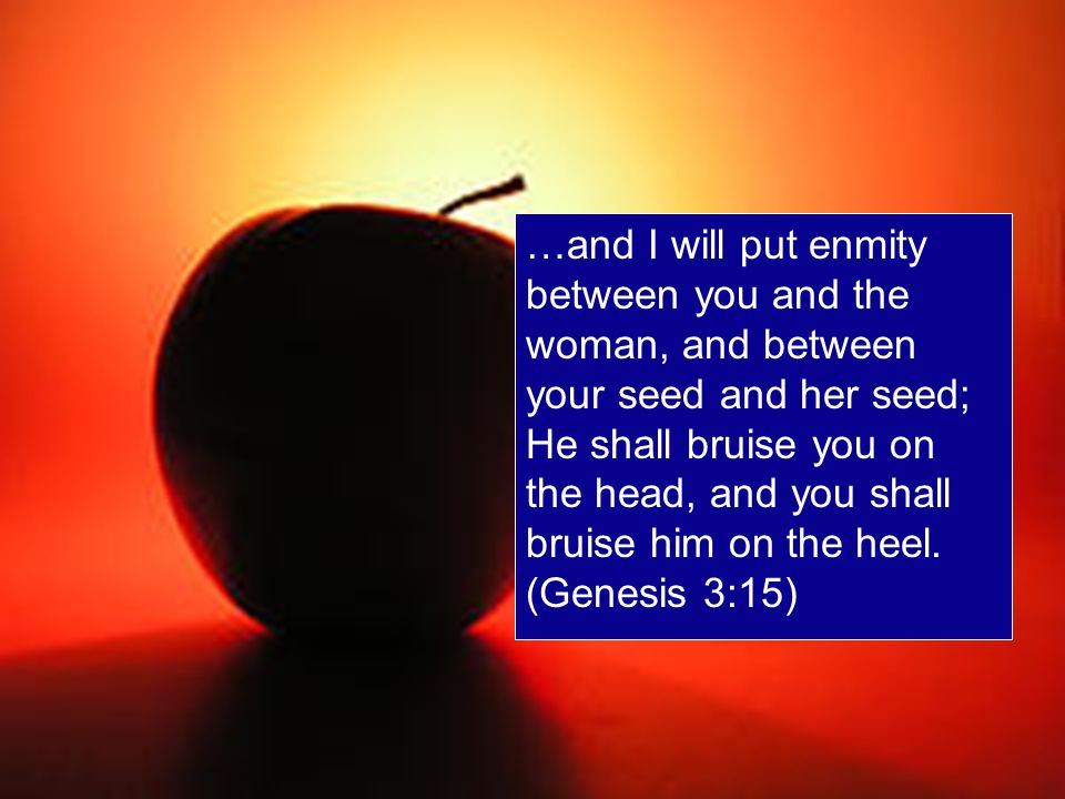 …and I will put enmity between you and the woman, and between your seed and her seed; He shall bruise you on the head, and you shall bruise him on the heel.