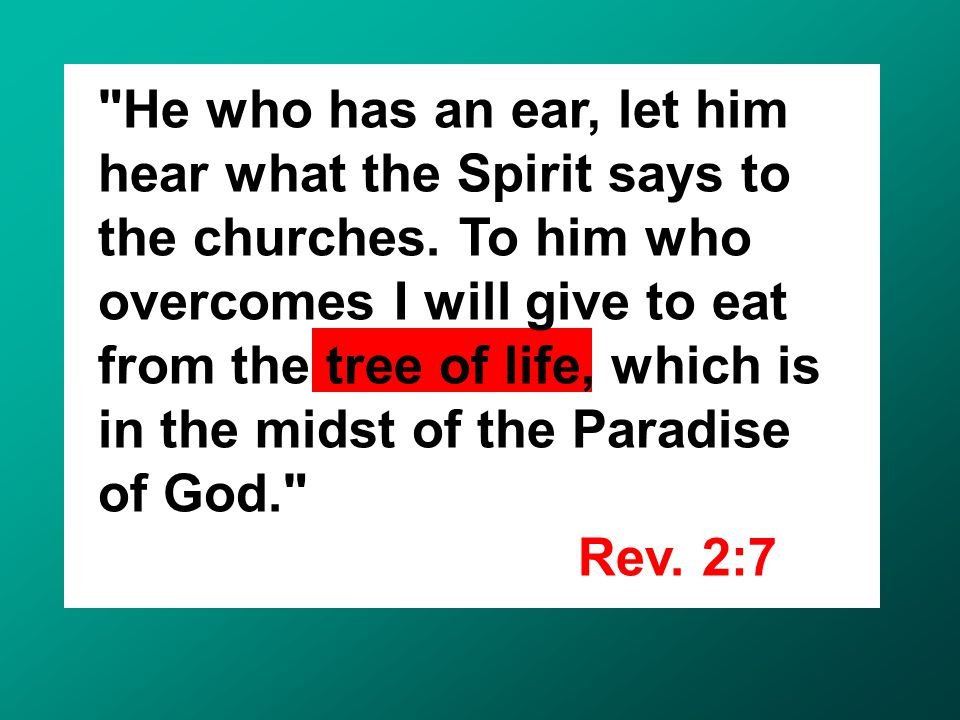 He who has an ear, let him hear what the Spirit says to the churches.