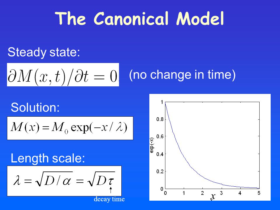 The Canonical Model Steady state: (no change in time) Solution: Length scale: decay time x M(x)M(x)