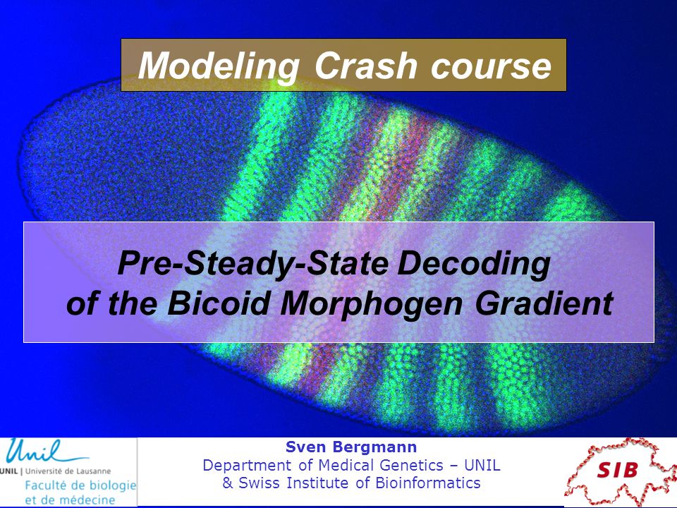 Pre-Steady-State Decoding of the Bicoid Morphogen Gradient Sven Bergmann Department of Medical Genetics – UNIL & Swiss Institute of Bioinformatics Modeling Crash course